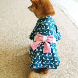 Yukibotanさんの作品