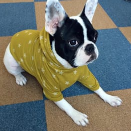 makiron0207さんの作品