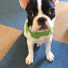 makiron0207さんの作品