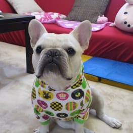 ぶん太さんの作品