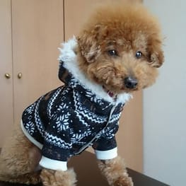 もじこさんの作品