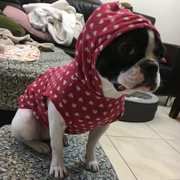 angelin40さんの作品