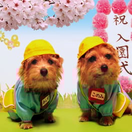 このママさんの作品