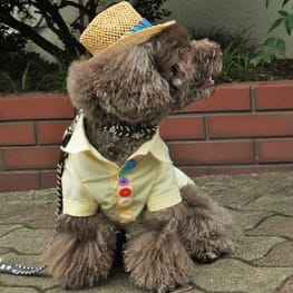 さっちさんの作品