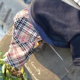 *pomechi*さんの作品