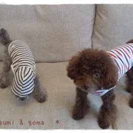 hironさんの作品