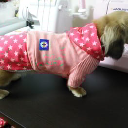 モコさんの作品