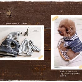 akizoo88さんの作品