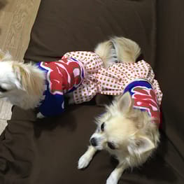 もこもこさんの作品