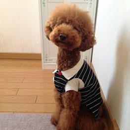 pricaさんの作品