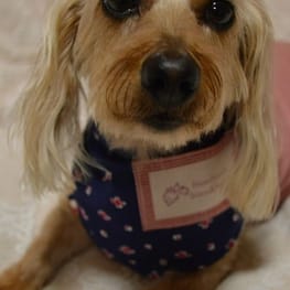 ひなはなさんの作品