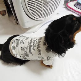 ライさんの作品