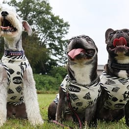 ちびっこさんの作品