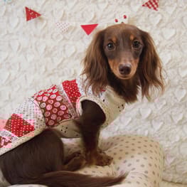 mamehanasoraさんの作品