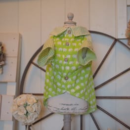 shimaさんの作品