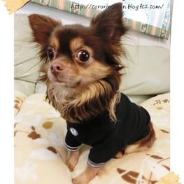 roncoさんの作品