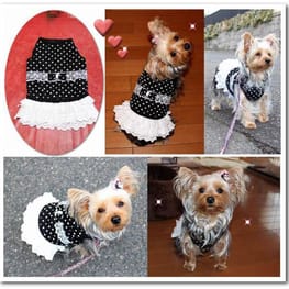 なおまろんさんの作品