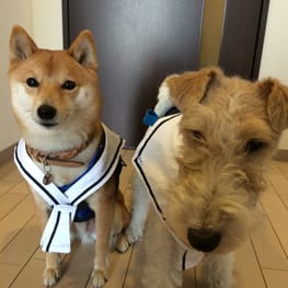 ナツ色さんの作品