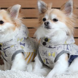 masakoさんの作品