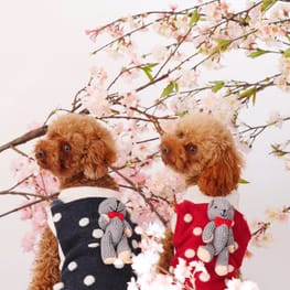 shimaさんの作品