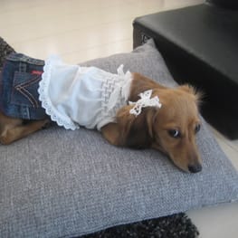 korino-rinoさんの作品