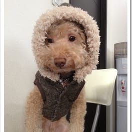 blancoさんの作品