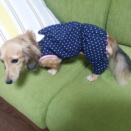 モコさんの作品