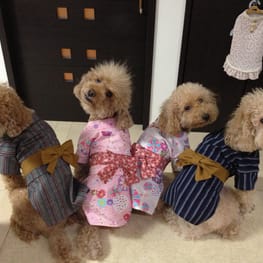 blancoさんの作品