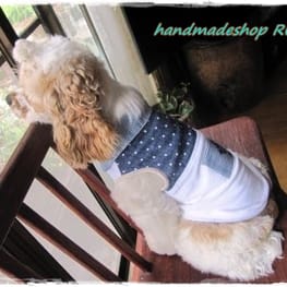 かんれいさんの作品