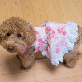 ココママさんの作品