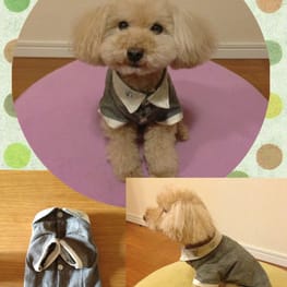 チハルさんの作品