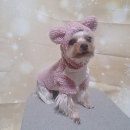 犬服☆ハンドメイド☆くすみピンク☆サンタさん柄ワンピース