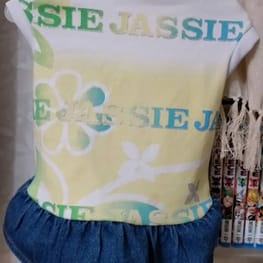 ぷりんさんの作品