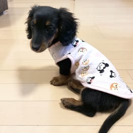 Tsubakiさんの作品