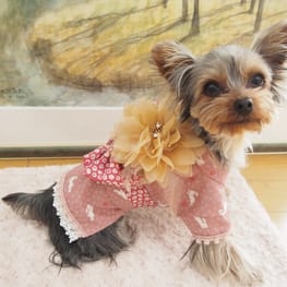 やすべえさんの作品