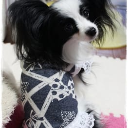 依音さんの作品