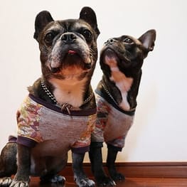 ちびっこさんの作品