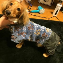 ちょここさんの作品