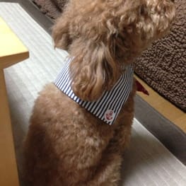 てるひめさんの作品