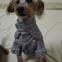 ひなはなさんの作品