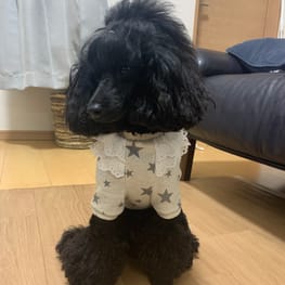 あねごさんの作品