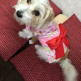 ゆみさんの作品