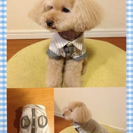 チハルさんの作品