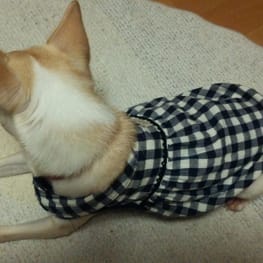 tenderwind+Kさんの作品