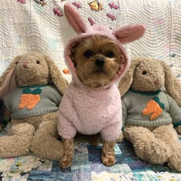 Keyakiさんの作品