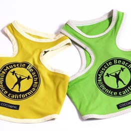 Princessmiyaさんの作品