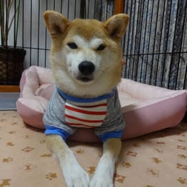 リンゴさんの作品