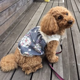 kuuminさんの作品