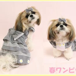 ここあずままさんの作品