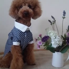 マーロンmamaさんの作品